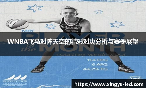WNBA飞马对阵天空的精彩对决分析与赛季展望